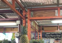 Chef de renombre internacional Yeikel Santos visita República Dominicana, prepara contenido para su nuevo libro