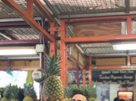 Chef de renombre internacional Yeikel Santos visita República Dominicana, prepara contenido para su nuevo libro