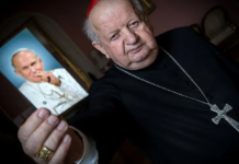 Últimos días de Juan Pablo II son “fuente de consuelo” para el mundo, afirma cardenal