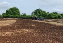 República Dominicana está perdiendo tierras agrícolas a un ritmo “muy preocupante”