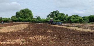 República Dominicana está perdiendo tierras agrícolas a un ritmo “muy preocupante”