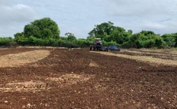 República Dominicana está perdiendo tierras agrícolas a un ritmo “muy preocupante”