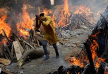 Estamos siendo testigos de un crimen contra la humanidad