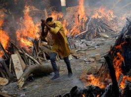 Estamos siendo testigos de un crimen contra la humanidad