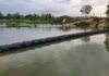 Estrategias e imprecisiones sobre el río Masacre