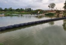 Estrategias e imprecisiones sobre el río Masacre