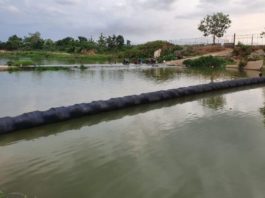 Estrategias e imprecisiones sobre el río Masacre