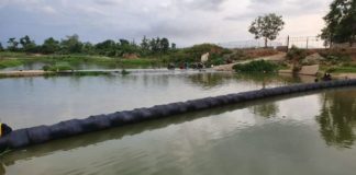 Estrategias e imprecisiones sobre el río Masacre