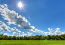 Temperaturas calurosas y ambiente despejado para este jueves