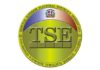 Suplente da Golpe de Estado al Pleno y Jueces Titulares del TSE