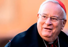 Cardenal Bassetti: Camino sinodal en Italia no seguirá el modelo de los obispos alemanes