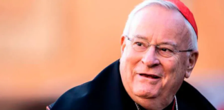 Cardenal Bassetti: Camino sinodal en Italia no seguirá el modelo de los obispos alemanes