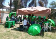 Acusada de enviar brownies con marihuana declaró que los envió para “llamar la atención” de la sociedad o el gobierno