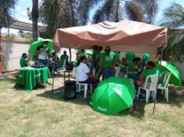Acusada de enviar brownies con marihuana declaró que los envió para “llamar la atención” de la sociedad o el gobierno