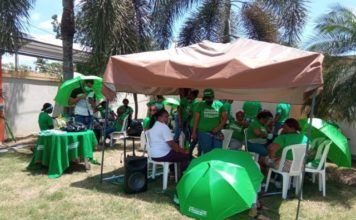 Acusada de enviar brownies con marihuana declaró que los envió para “llamar la atención” de la sociedad o el gobierno