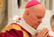 Arzobispo a obispos alemanes: ¿Son capaces de soportar el odio del mundo por el Evangelio?