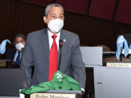 Diputados Alianza País rechazan entrega bonos de RD$300 mil por día de las madres