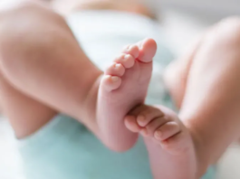 Juez federal ordena suspender la ley del aborto en toda Argentina, el Estado apelará el fallo