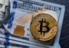 Los hermanos adolescentes acusados de cometer una de las mayores estafas con bitcoins de la historia
