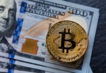 Los hermanos adolescentes acusados de cometer una de las mayores estafas con bitcoins de la historia