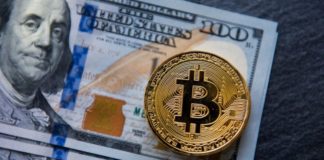 Los hermanos adolescentes acusados de cometer una de las mayores estafas con bitcoins de la historia