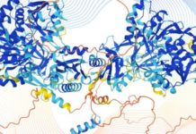 «Transformará lo que sabemos del funcionamiento de la vida»: el gran avance en inteligencia artificial que puede revolucionar la medicina