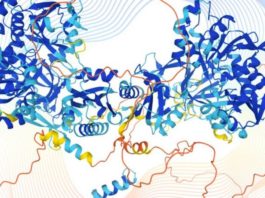 «Transformará lo que sabemos del funcionamiento de la vida»: el gran avance en inteligencia artificial que puede revolucionar la medicina