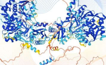 «Transformará lo que sabemos del funcionamiento de la vida»: el gran avance en inteligencia artificial que puede revolucionar la medicina