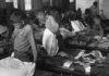 «Como ratas de laboratorio»: los espeluznantes experimentos sobre desnutrición que Canadá hizo con los niños de las escuelas indígenas