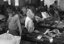 «Como ratas de laboratorio»: los espeluznantes experimentos sobre desnutrición que Canadá hizo con los niños de las escuelas indígenas