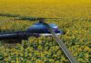 Un helicóptero realiza un aterrizaje forzoso en el sur de Rusia y el piloto lo abandona en medio de un campo de girasoles