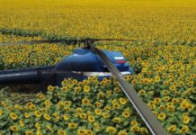 Un helicóptero realiza un aterrizaje forzoso en el sur de Rusia y el piloto lo abandona en medio de un campo de girasoles
