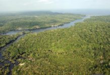 Brasil, la principal reserva hídrica del mundo, se está secando