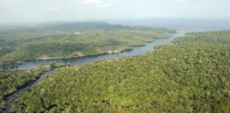 Brasil, la principal reserva hídrica del mundo, se está secando