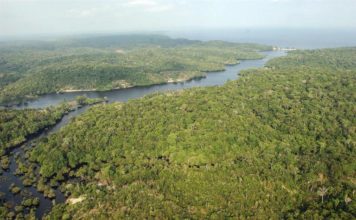 Brasil, la principal reserva hídrica del mundo, se está secando