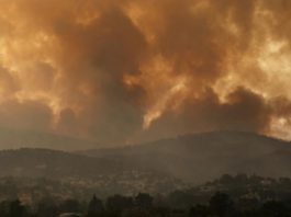 «Código rojo para la humanidad»: Exhaustivo informe de la ONU advierte que el cambio climático ya es irreversible para el futuro próximo