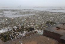 Generadora Itabo I fuera de servicio afectada por toneladas de basura