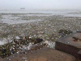 Generadora Itabo I fuera de servicio afectada por toneladas de basura