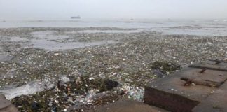 Generadora Itabo I fuera de servicio afectada por toneladas de basura