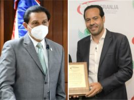 Fiebre porcina solo afecta a cerdos domésticos y salvajes; aseguran no representa peligro al ser humano