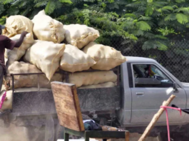 La Paradoja del crédito: a mayor pobreza por provincia, mayor tasa de interés y menos préstamos