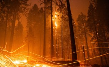 El ecocidio: un arma contra el cambio climático