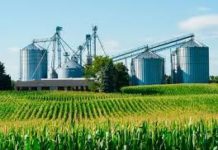 La producción nacional competitivamente integrada