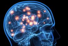 6 ejercicios que practica cada día la neurocientífica Wendy Suzuki para mejorar su fortaleza mental