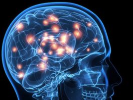 6 ejercicios que practica cada día la neurocientífica Wendy Suzuki para mejorar su fortaleza mental