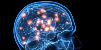 6 ejercicios que practica cada día la neurocientífica Wendy Suzuki para mejorar su fortaleza mental