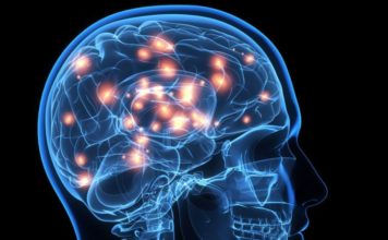 6 ejercicios que practica cada día la neurocientífica Wendy Suzuki para mejorar su fortaleza mental