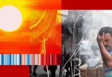 Cambio climático: el preocupante aumento de los días de más de 50ºC (y los retos sin precedentes que representa para la vida en la Tierra)