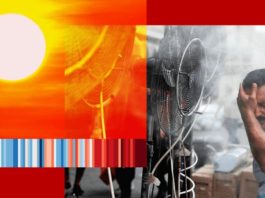 Cambio climático: el preocupante aumento de los días de más de 50ºC (y los retos sin precedentes que representa para la vida en la Tierra)