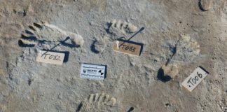 El extraordinario hallazgo que indica que América se pobló miles de años antes de lo que se pensaba